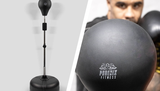 Free Standing Speed Ball at Discount Experts
