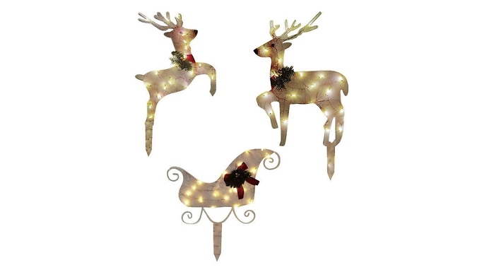 Christmas Reindeer & Sled Decoration with LED Lights from Discount Experts