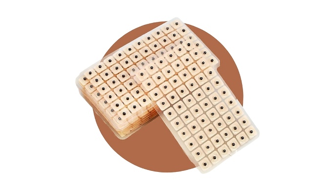 600-1800 Acusoothe Ear Seeds - 1, 2 or 3-Pack. from Discount Experts