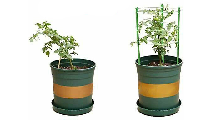 45cm Garden Plant Support Ring Deal Price £7.99