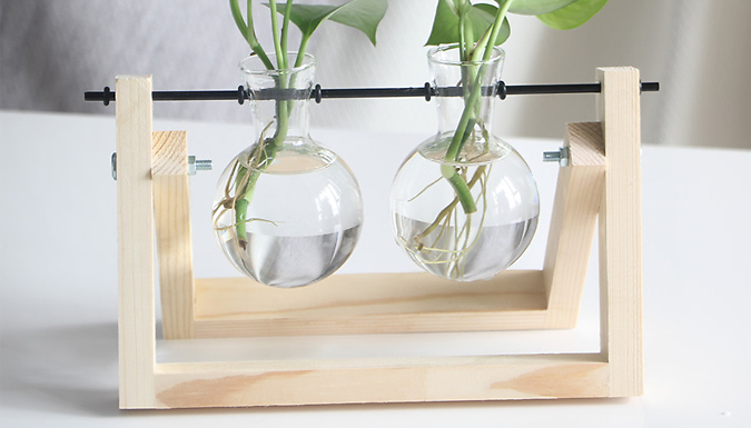 Wooden Frame Propagation Station - 9 Designs from Discount Experts