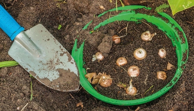 Gardening Bulb Basket Set - 3, 5 or 10 Pack at Discount Experts