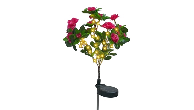 Outdoor Azalea LED Solar Lights - 3 Colours at Discount Experts