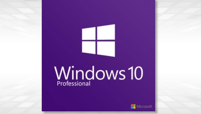 Windows 10 Professional Licence