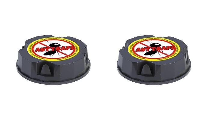 2, 4 or 6-Pack of Ant Trap Bait Stations at Discount Experts