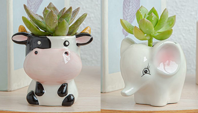 Ceramic Cartoon Animal Plant Pots - 6 Designs at Discount Experts