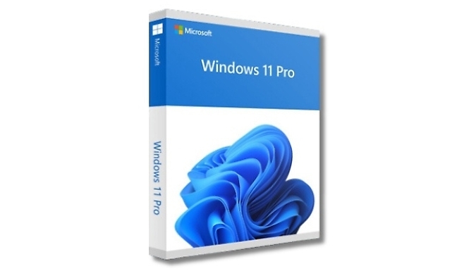 Windows 11 Pro Product Key & Online Course - Lifetime Product Key. at Discount Experts