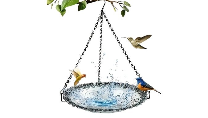 1 or 2-Layer Hanging Bird Feeder from Discount Experts