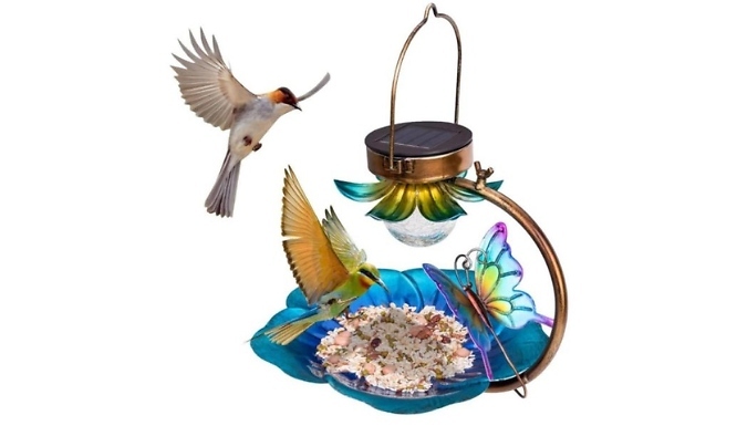Hanging Bird Feeder with Solar-Powered Lamp. from Discount Experts