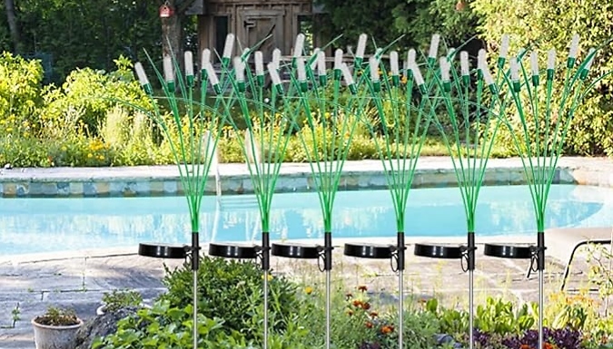 1, 2 or 4-Pack of Reed Solar Garden Lights - 2 Colours at Discount Experts
