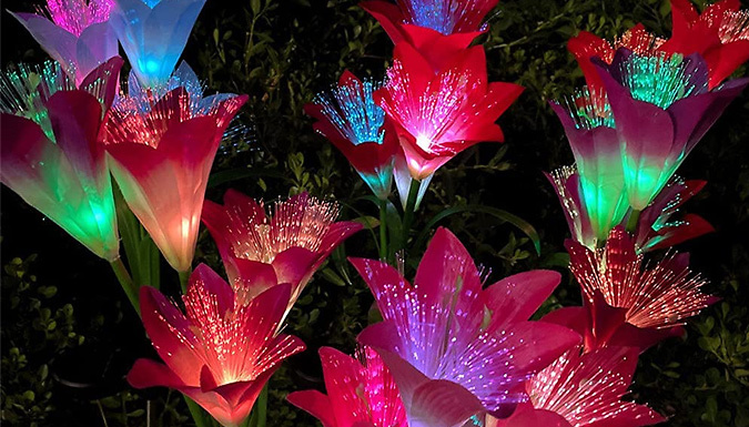 Solar-Powered Colour-Changing Lily Lawn Light - 5 Colours from Discount Experts