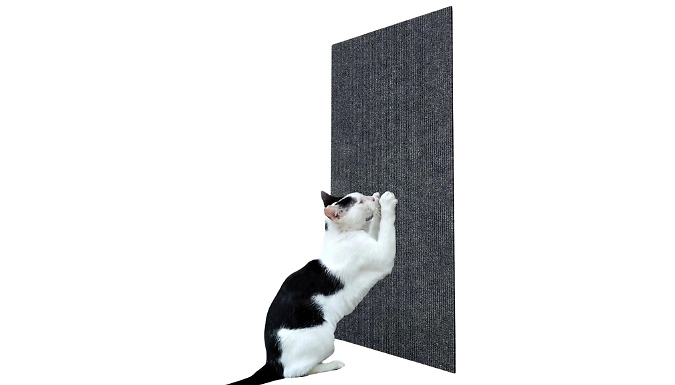 Self-Adhesive Cat Scratching Mat - 3 Colours & 2 Sizes from Discount Experts