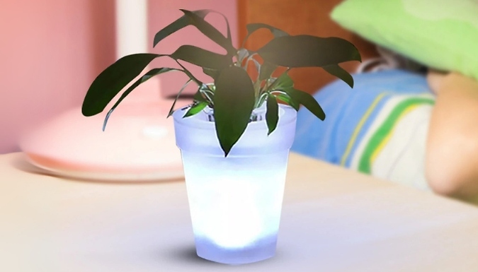 1 or 2 Solar Power Light Up Flowerpot - 2 Styles from Discount Experts
