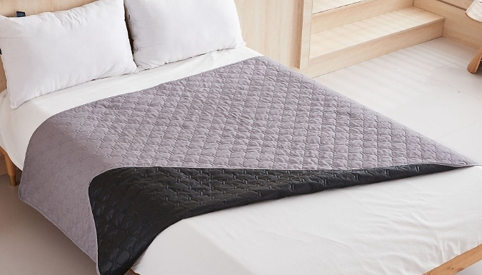 Water-Resistant Dog Furniture Protector with Anti-Slip Design - 4 Colours, 2 Sizes. from Discount Experts