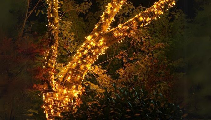 Decorative LED Solar Lights - 3 Sizes, 9 Colours from Discount Experts