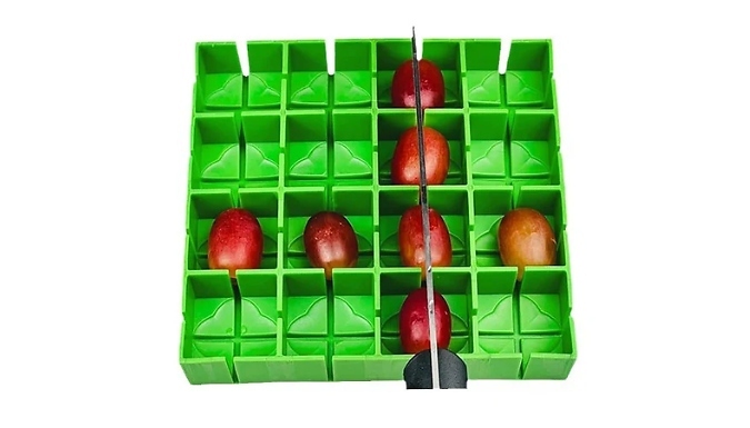 16-Compartment Quarter Fruit & Vegetable Cutter at Discount Experts