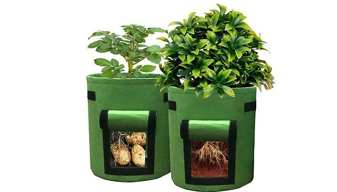 1, 2 or 3 Vegetable Cultivation Planters - 3 Colours from Discount Experts