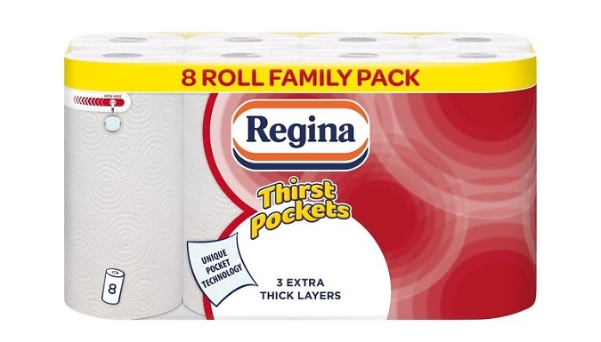 Regina 3-Ply Thirst Pockets Kitchen Towel at Discount Experts