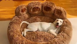Cute Paw-Shaped Soft Pet Bed - 4 Sizes, 3 Colours 