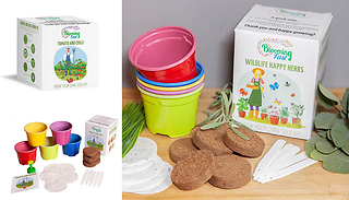 1 or 5 Grow-Your-Own Complete Seed Gift Kits - 5 Varieties