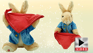 Peek-a-Boo Bunny Rabbit