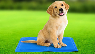 Pet Cooling Gel Mat