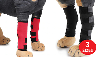 Dog Front Paw Reflective Compression Wrap - 2 Colours & 3 Sizes