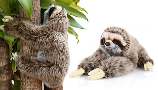 Sloth Plush Toy