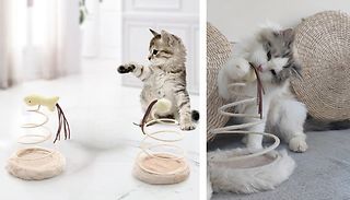 Spiral or Snowball Cat Toy