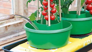 3-Pack of Plant Watering Support Halos