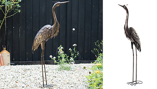 Bronze Heron