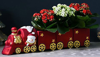 Christmas Kalanchoe Plant Train Set