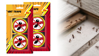 2 or 4 Ant Bait Non-Toxic Traps