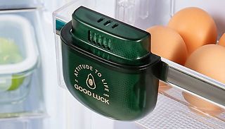 Active Carbon Fridge Deodorizer - 4 Colours