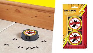 2-Pack Ant Trap Bait Station