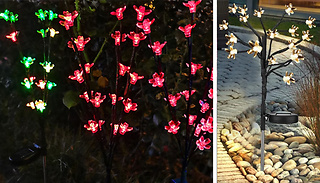 1 or 2 Solar-Powered LED Tree Flower Lights - 3 Colours