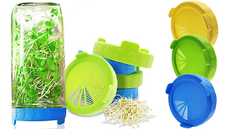 Wide Mouth Mason Jar Seed Germination Lid - 3 Colours