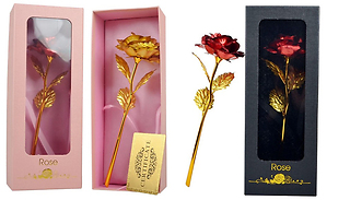 Eternity Rose with Gift Box – 4 Colours