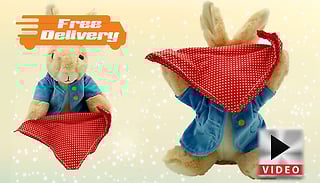 Peek-a-Boo Bunny Rabbit