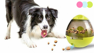 Pet Interactive Food Egg Toy - 3 Colours