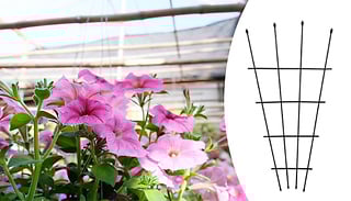 Garden Gear 1.2-Metre Fan Trellis - 1, 2 or 4-Pack