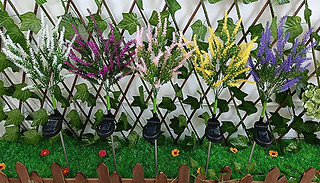 1 or 2x Solar-Powered Lavender LED Outdoor Lights - 5 Colours