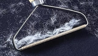 Lint and Fur Remover