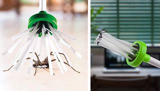 Spider Catcher Tool