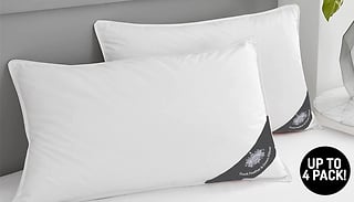 1, 2, or 4 Extra Soft Duck Feather Pillows