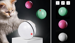 LED Rolling Flash Ball Cat Toy - 3 Colours