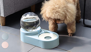 2in1 Automatic Water Dispenser & Food Bowl - 2 Colours
