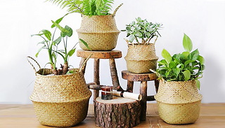 1, 2 or 3-Pack Foldable Seagrass Flower Basket - 3 Sizes