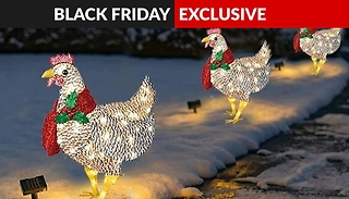 Christmas Light-Up Chicken with Scarf Decoration - 3 Sizes