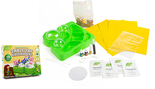 Grow Your Own Table Top Greenhouse